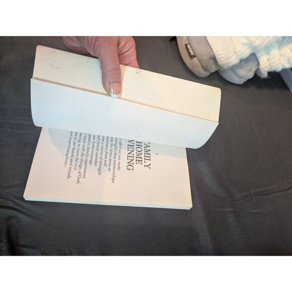 The family idea book two - Picture 2 of 6